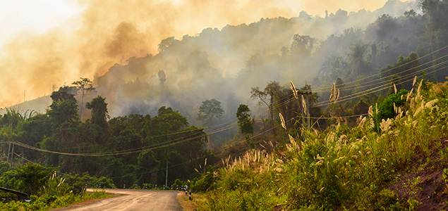 E&I suppliers help higher ed and k12 schools prepare for and respond to wildfires, droughts and natural disasters